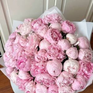 Bouquet pivoines
