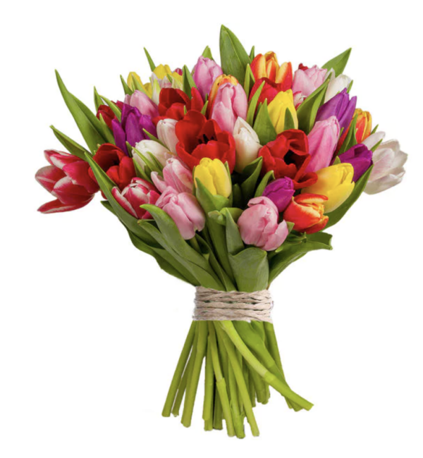 Bouquet Colorful