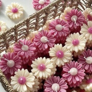 Marguerite individuel