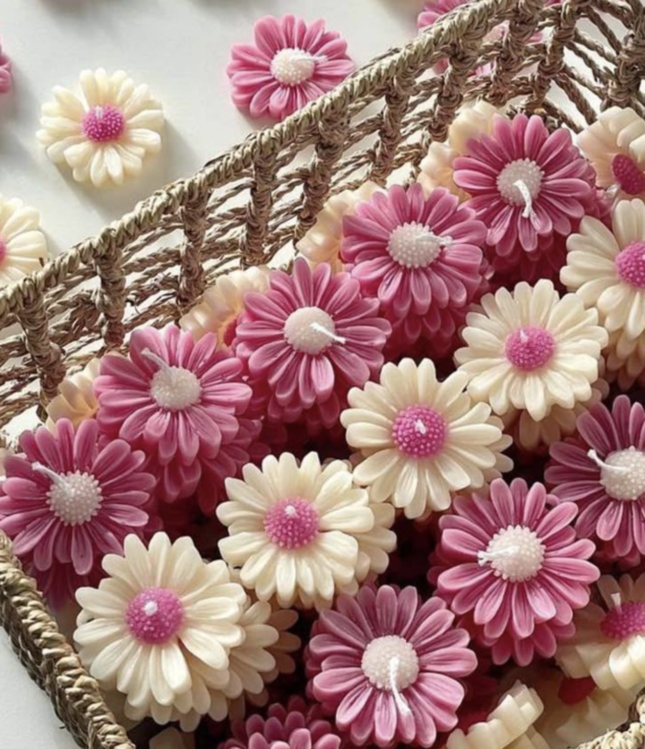 Marguerite individuel